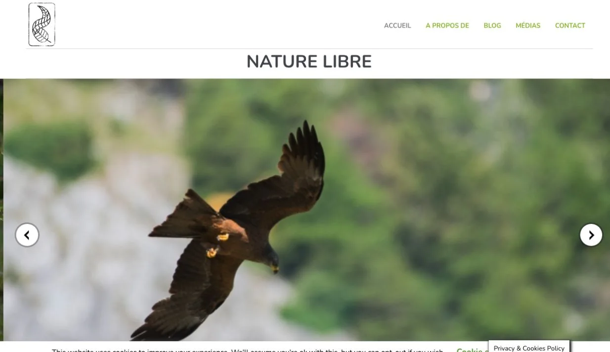 Nature Libre — projet client SEO WEB