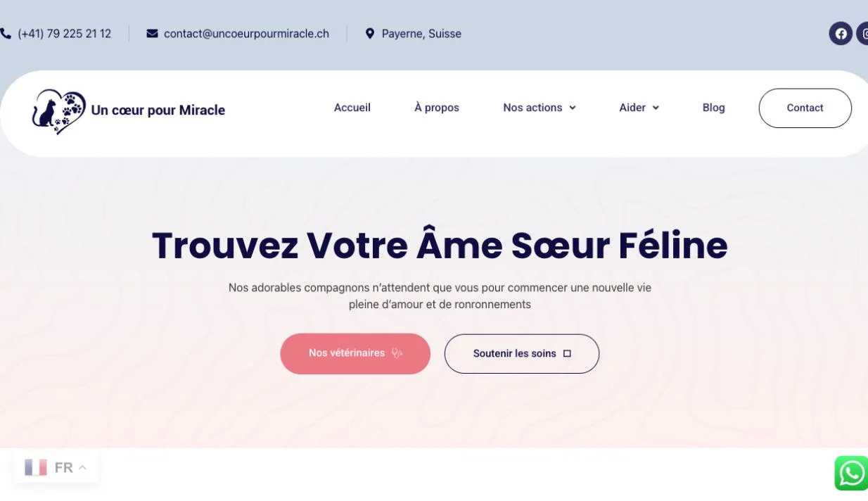 Un Cœur pour Miracle · Le contenu et les services vus plus en détail
